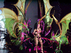 Reina del Carnaval de Torrevieja 2008